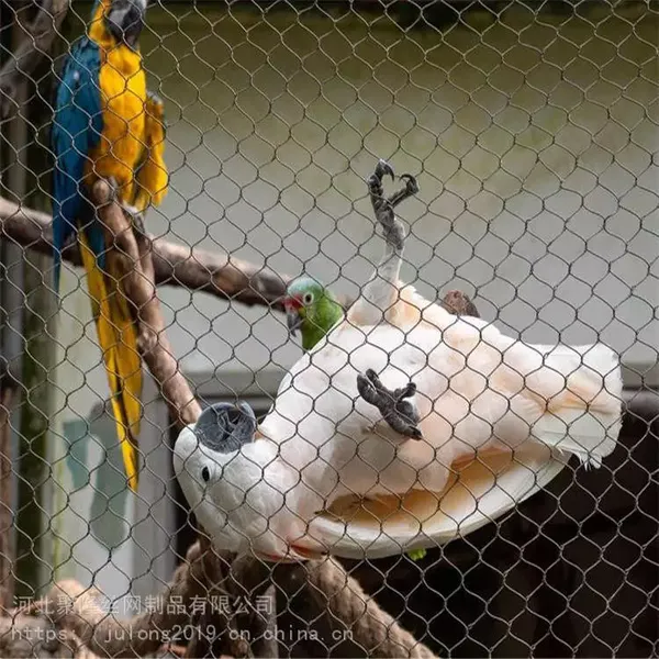Lightweight Stainless Steel SUS304 316 316L Macaw Aviary Wire Netting Plain Weave Bird Aviary Mesh Panels for Zoo photo-2