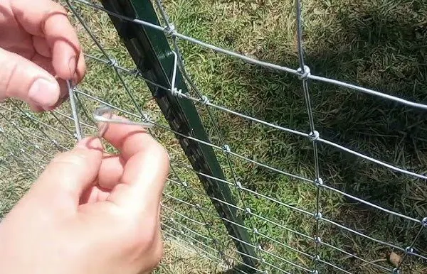 Hinged Joint Field Fence for Farm Livestock Sheep Wire Fencing Galvanized Wire Mesh Fence for Cattle Horse Sheep photo-4