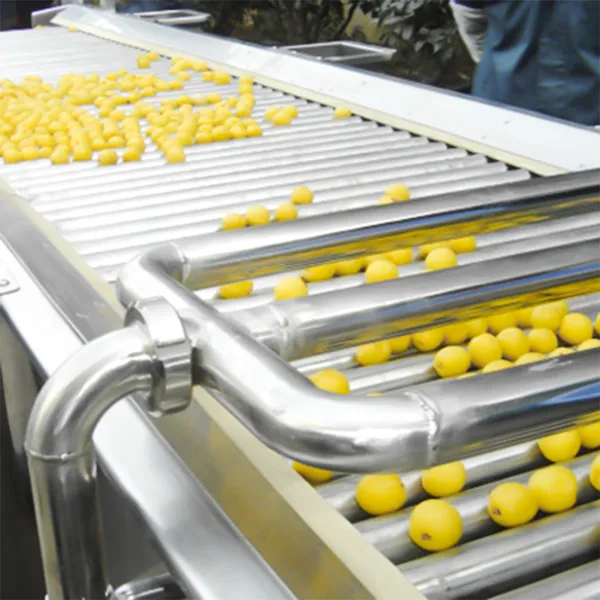 Canned Yellow Peach Whole Set Canned Food Processing Equipment Canned Sweet Corn Production Line photo-4