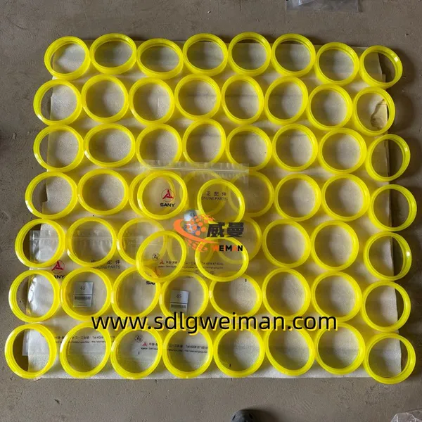 Sany Original Rubber Seal A820606030049 für Sany Truck Concrete Pump Ersatzteile