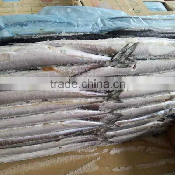 100 Gram Pacific Saury Cololabis Saira photo-4