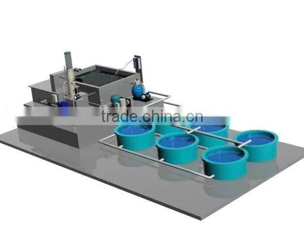 Recirculation Aquaculture Systems