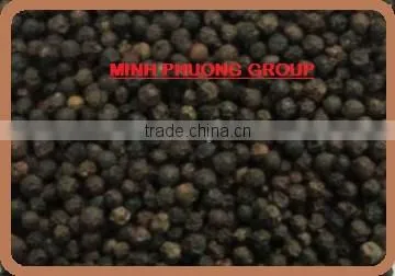 Black Pepper 550 Gr/L photo-2