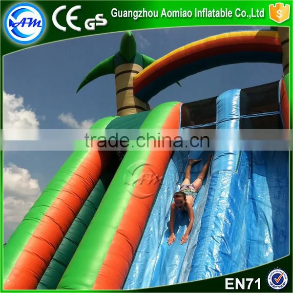 Funny Exciting Entertainment Inflatable Slip n Slide Giant Inflatable Water Slide Supplier's Choice photo-2