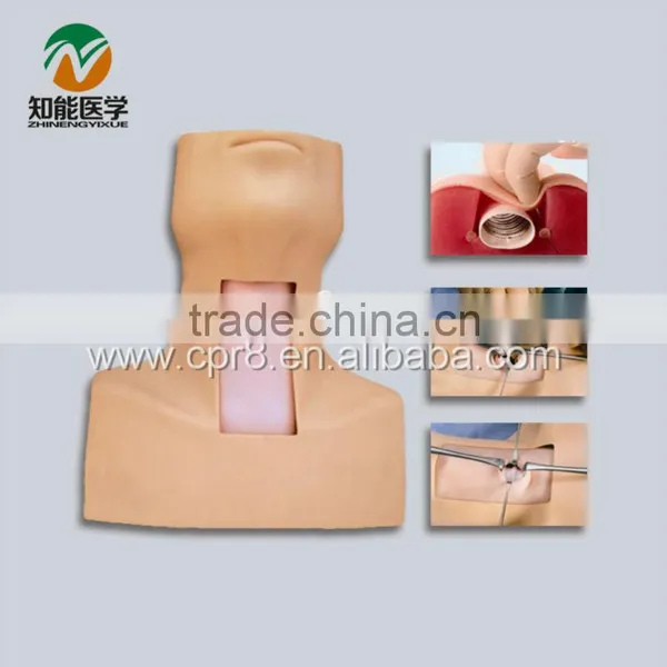 Advanced Tracheostomy Model