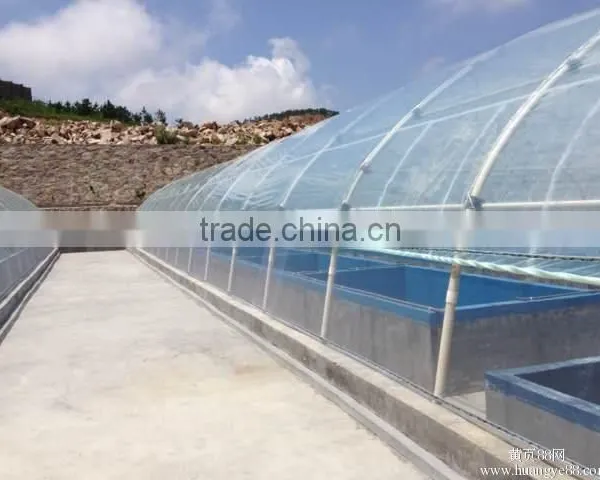 High Desity Fish Farming in the Greenhouse