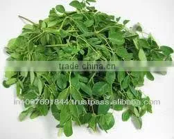 Moringa Leaf Powder