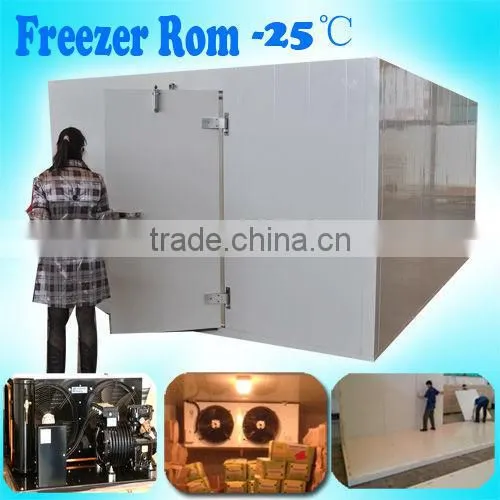 Display Cold Room for Drinks photo-6