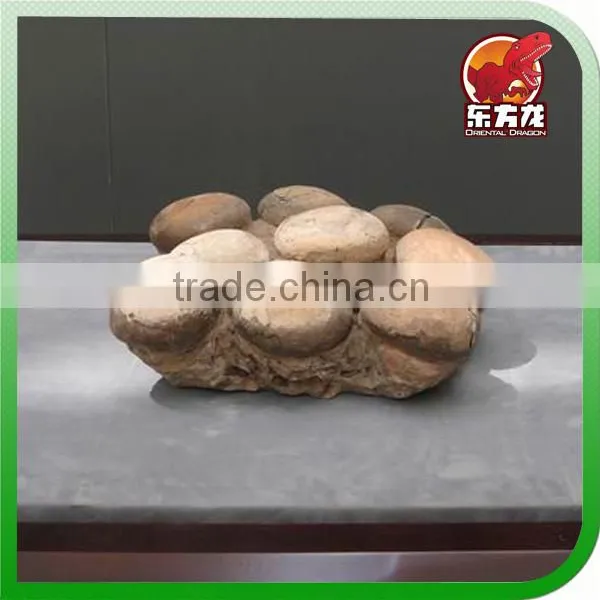 Museum High Quality Professional Dinosaur Eggs Fossil for Sale