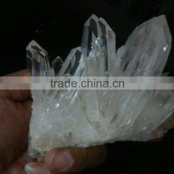 Natural Cluster photo-5