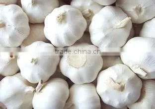 Common Cultivation Liliaceous Vegetables Fresh Garlic With High Quality photo-3
