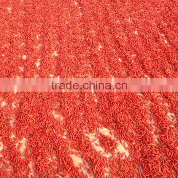 Vietnam Dried Red Hot Chilli photo-5