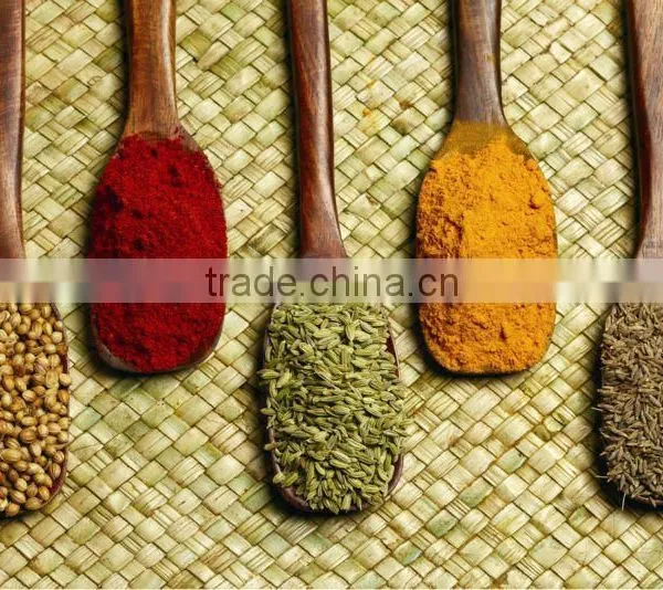 Indian Spices photo-2