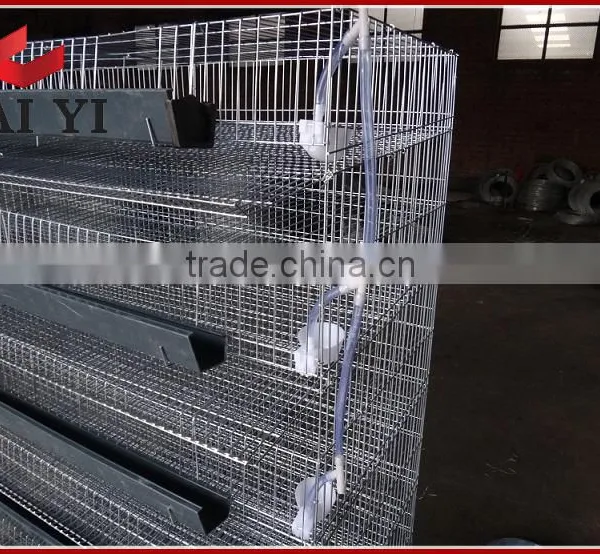 Layer Quail Cages For Sale From Direct Factory photo-6