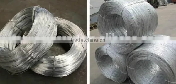 Garden house galvanized seed bed