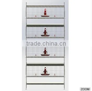 Good Grade Hencoop for Bulk Purchase photo-5