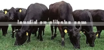 2015 Wholesale LF/HF/UHF Rfid Animal Indentification Tags / Tracking Tags photo-5