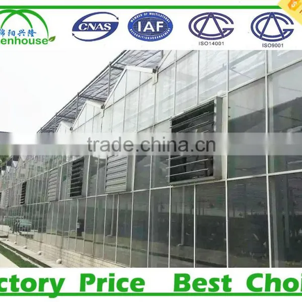 Vegetable Growing Intelligent Glass Greenhouse photo-3