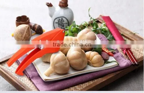 Cy286 ABS +Stainless Steel Handled Easily Clean Garlic Press photo-6