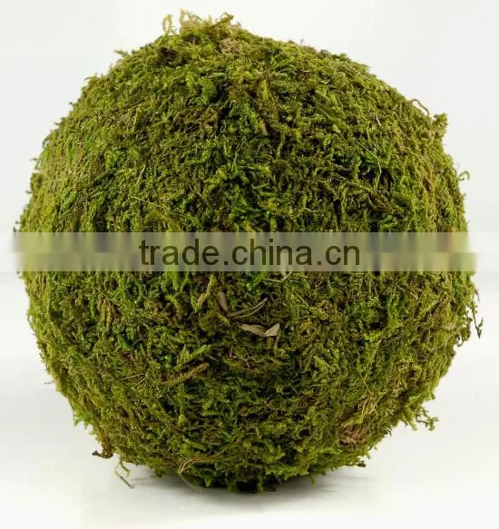 Handicraft Moss Ball photo-2