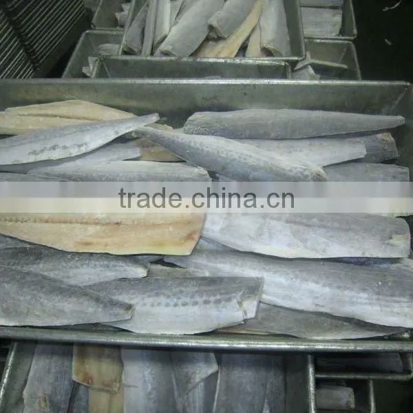 Frozen Spanish Mackerel Fillet