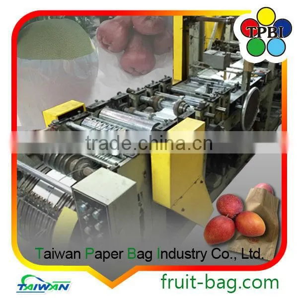 Carambola Paper Star Fruit Growing Paper Bag photo-2