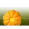 D.S.F. Dryer Ball