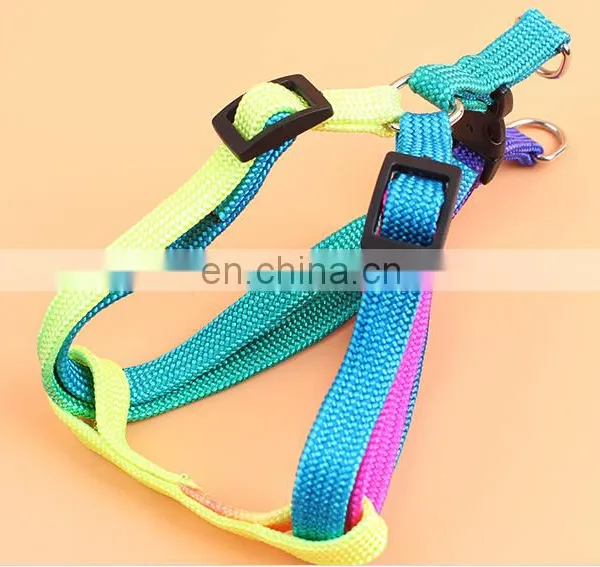 Dog Collar photo-5