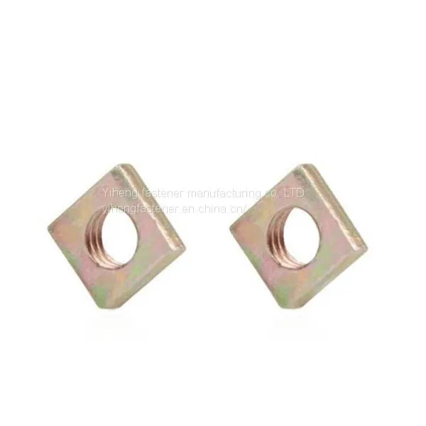 Square Nut，The Nut photo-3