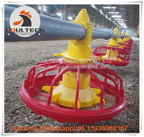 Colombia Chicken House Poultry Farming Equipment Broiler Floor Raising System & Chicken Deep Litter System With Automatic Drinking & Feeding Pan System in Chicken Coop photo-2