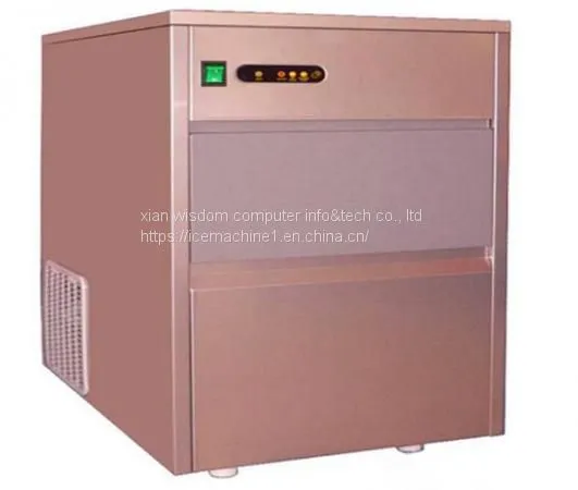 Kitchen Compact Ice Maker