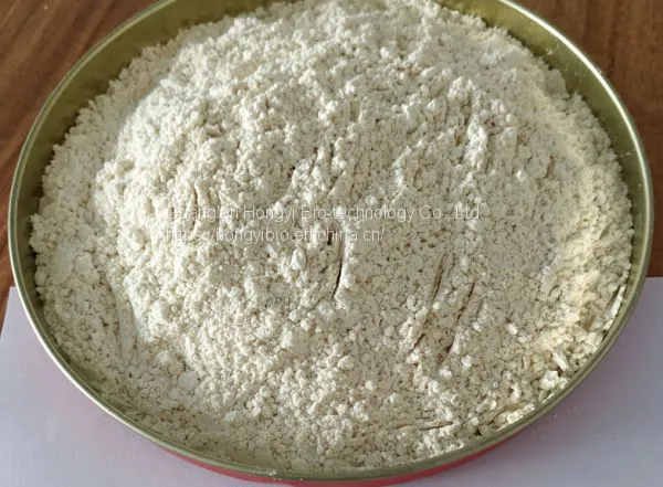 Polygonum Cuspidatum Extract Herbal Plant Extract Resveratrol photo-2
