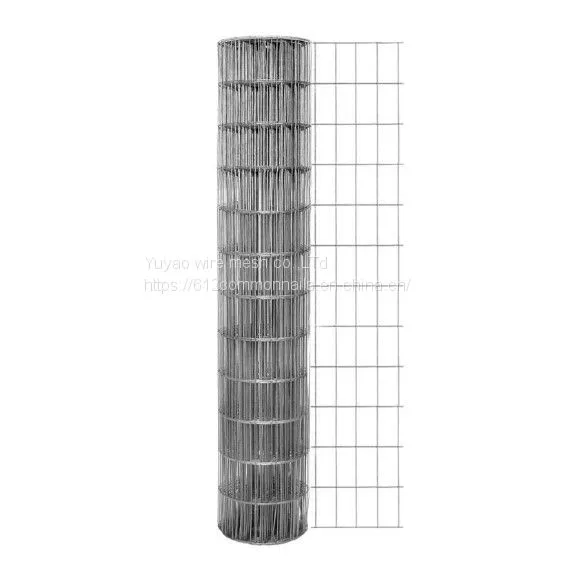 Welded Wire Mesh