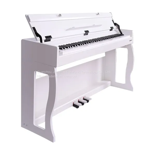 OEM Digital Electric Piano for Kids Professionals Electronic Organ Piano Keyboard