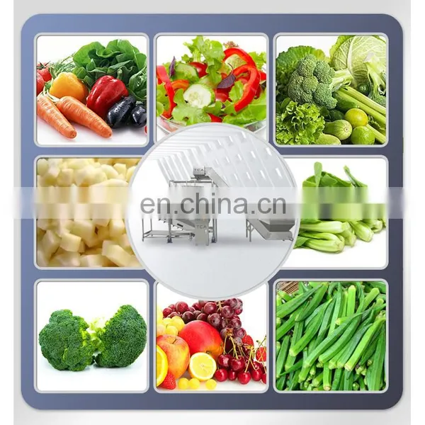 SS304 /316 Fully Automatic Good Quality Fruit Vegetable Washing Machine photo-5