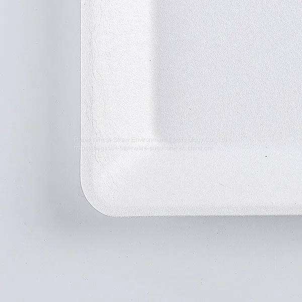 Disposable Biodegradable 6 INCH Square Plate Take Away Sugarcane photo-5