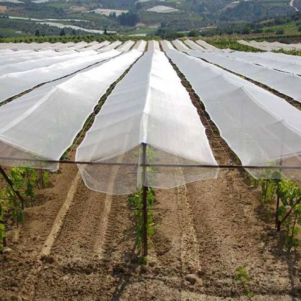 Anti Hail Net for Apple Tree