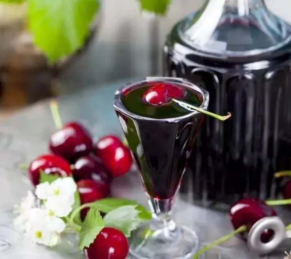 Small Production Capacity Fruit Wine Making Machine photo-3