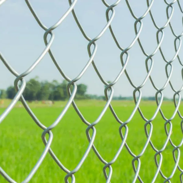 Factory Direct Galvanized Steel Sports Fencing Durable Court Fence for Sport Venues photo-1