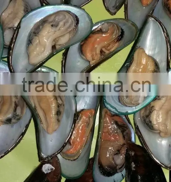 Frozen Green Mussel