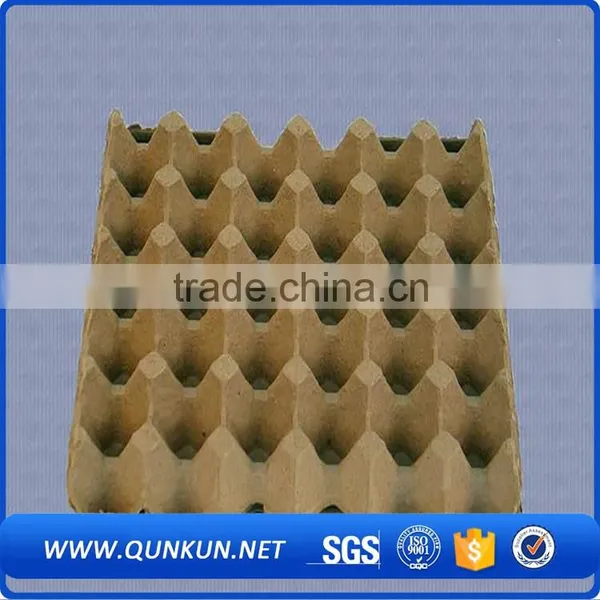 Multifunctional Hot Sales Plastic Eggs Tray New photo-5