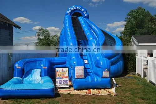 Giant Infaltable Water Slide photo-3