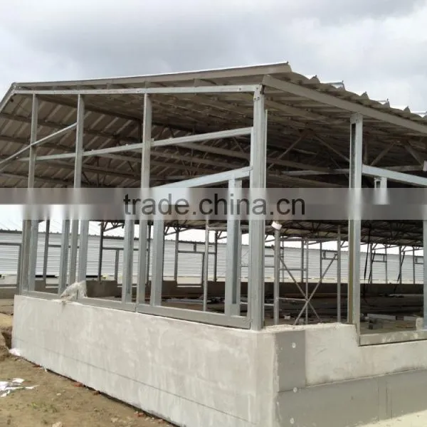 Day Old Broiler Chicks Poultry House Equipment photo-5