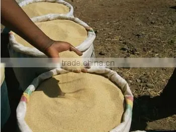 High Quality Teff for Injera