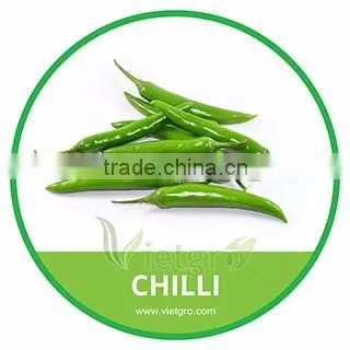 HIGH QUALITY FRESH UPWARD GREEN CHILLI