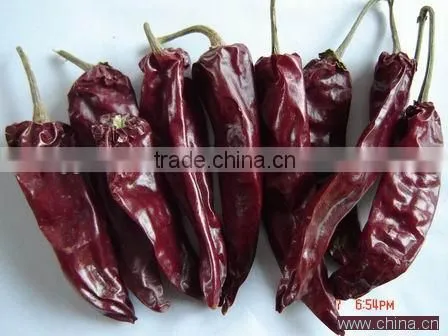 Chinese supplier wholesales export dried red chilli import from china