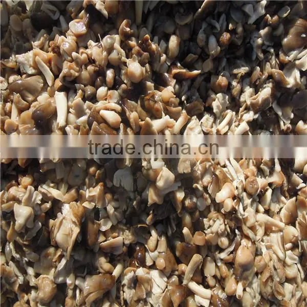 Market Prices for Mushroom Price Canned Mushroom photo-3