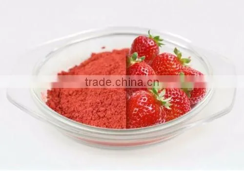 Freeze Dried Strawberry Powder - Emergency Survival Dried Food photo-2