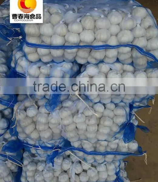 Nuisanceless Dried Pure White Garlic photo-3