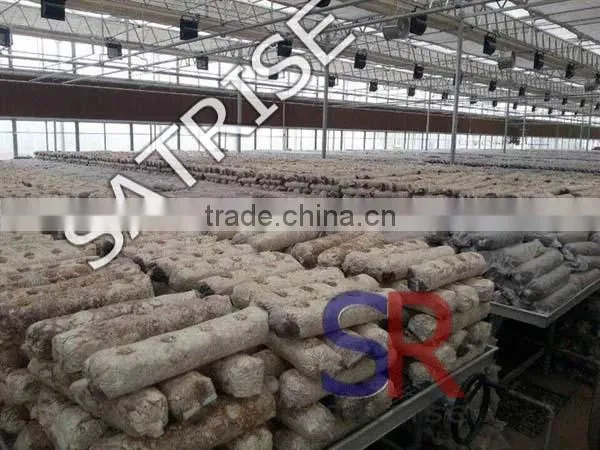 Hot Sale From China Professional Manufacturer Shiitake Mushroom Log photo-2